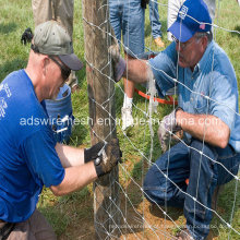 Cerca de Fazenda e Cerca de Campo